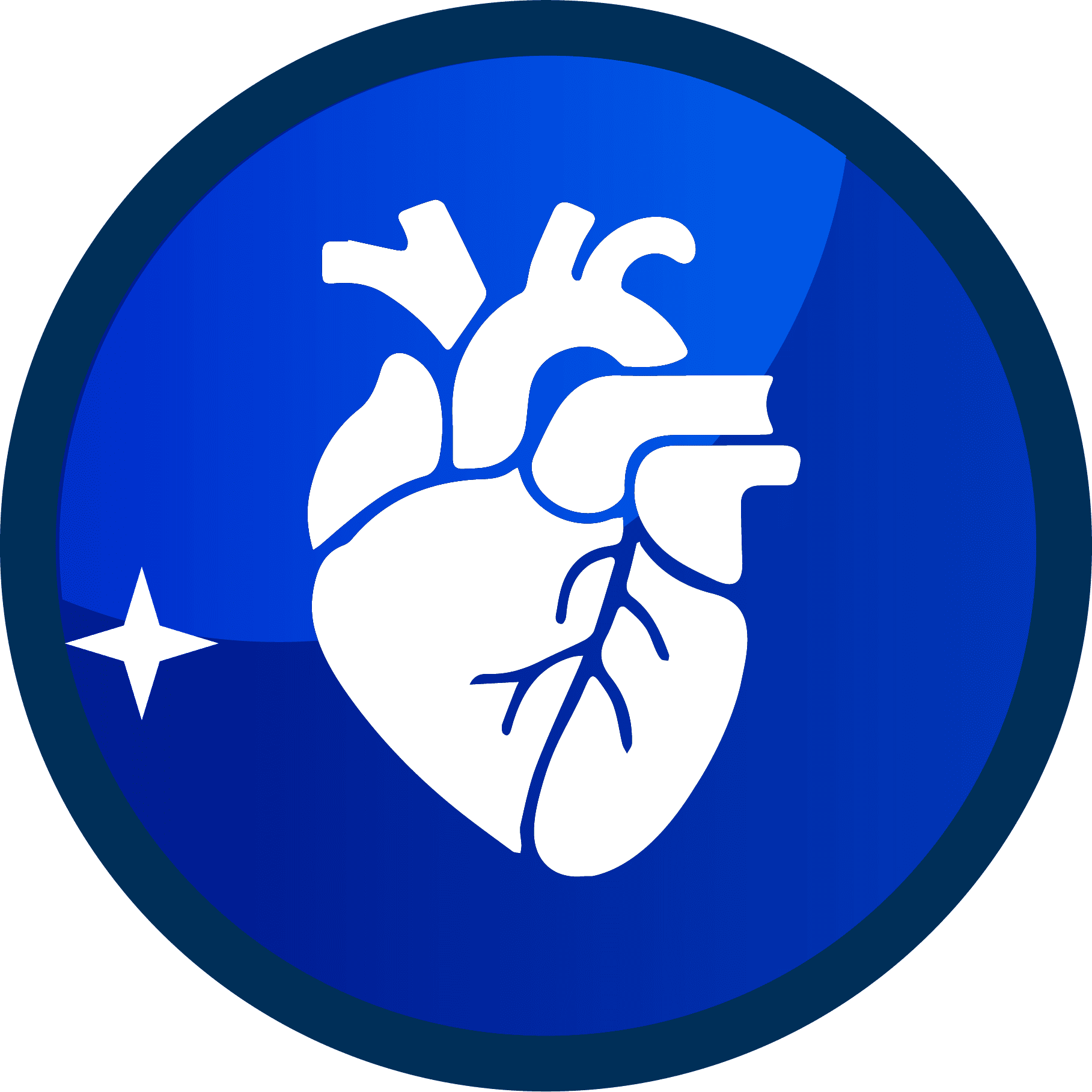 corazon brinsa cargador