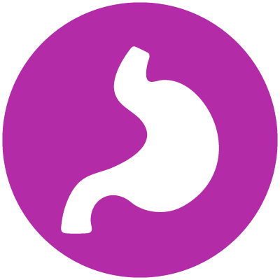 logo sistema forma pestaña