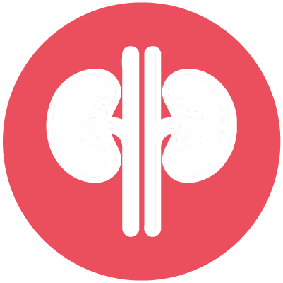 logo sistema forma pestaña